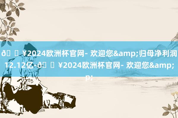 🔥2024欧洲杯官网- 欢迎您&归母净利润12.12亿-🔥2024欧洲杯官网- 欢迎您&