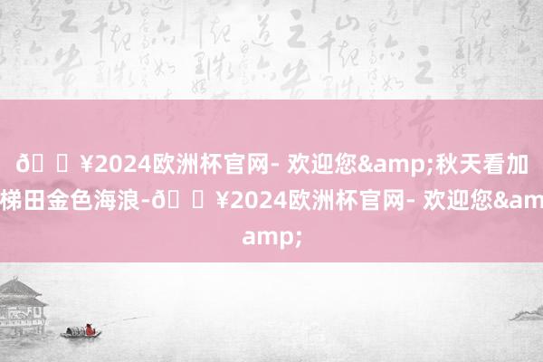 🔥2024欧洲杯官网- 欢迎您&秋天看加榜梯田金色海浪-🔥2024欧洲杯官网- 欢迎您&
