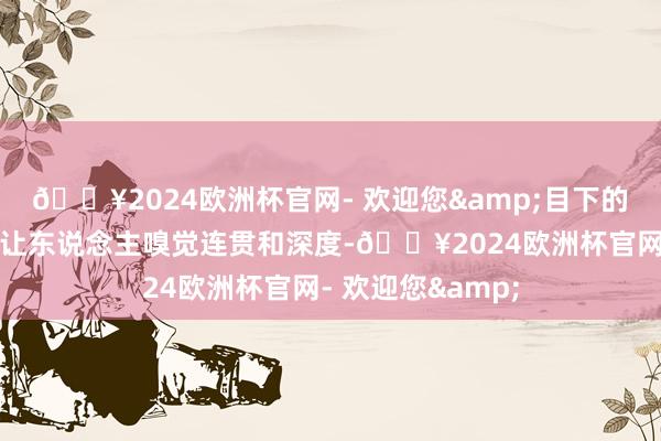 🔥2024欧洲杯官网- 欢迎您&目下的抢先体验版难以让东说念主嗅觉连贯和深度-🔥2024欧洲杯官网- 欢迎您&