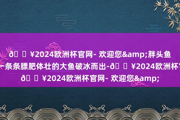🔥2024欧洲杯官网- 欢迎您&胖头鱼、鲤鱼、草鱼……一条条膘肥体壮的大鱼破冰而出-🔥2024欧洲杯官网- 欢迎您&
