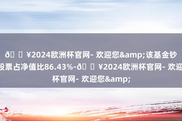 🔥2024欧洲杯官网- 欢迎您&该基金钞票竖立：股票占净值比86.43%-🔥2024欧洲杯官网- 欢迎您&