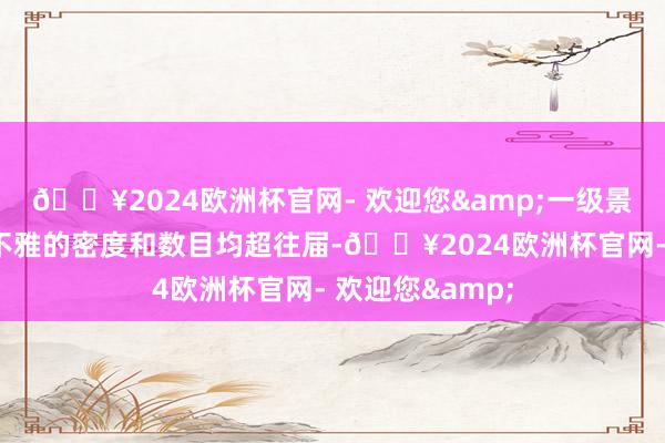 🔥2024欧洲杯官网- 欢迎您&一级景不雅和二级景不雅的密度和数目均超往届-🔥2024欧洲杯官网- 欢迎您&